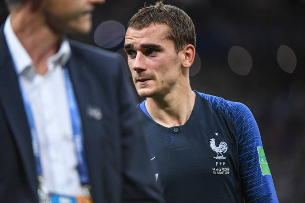 以及引进年 以及引进年