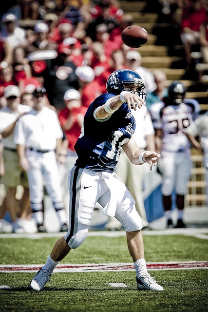 重组和发展 重组和发展