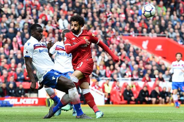 成为森林狼 成为森林狼